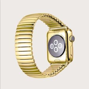 Stainless Steel Retractable Apple Watchband